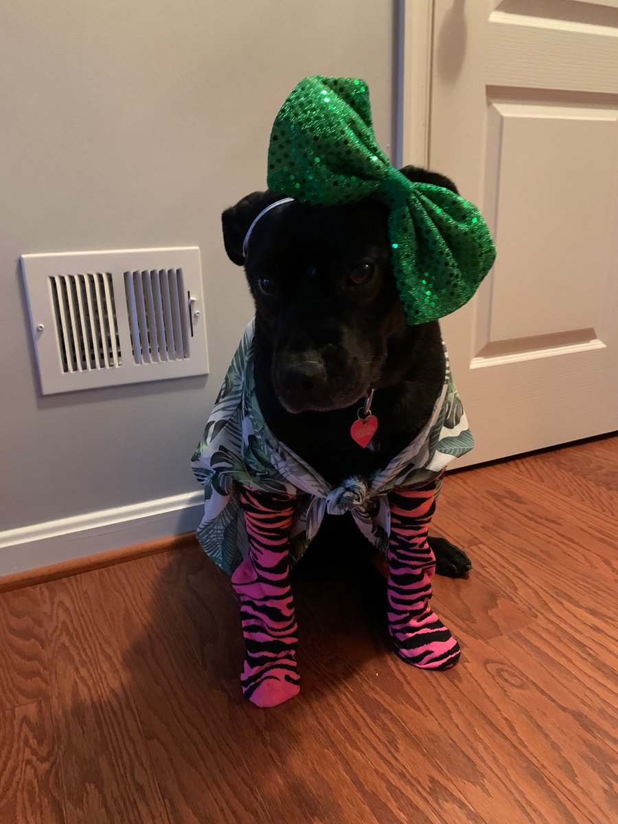 PHESgrade4's tweet photo. Ms. Roussey and her pup Aggie are wacky tacky for Wednesday! #PHESpride #SpiritWeek #AACPSAwesome https://t.co/hlisIask5k