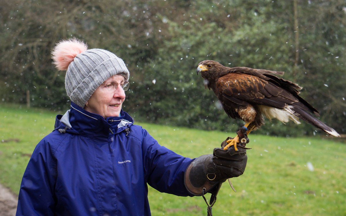 My son Tyler has set himself a charity challenge of a 24-hour gaming stream. He has 6.5 hours left!! Raising money for Cancer Research UK in memory of his Nana who passed away. He's only £6 off his target!twitch.tv/dayynm 
justgiving.com/fundraising/da… #gaming #Cancer #streaming