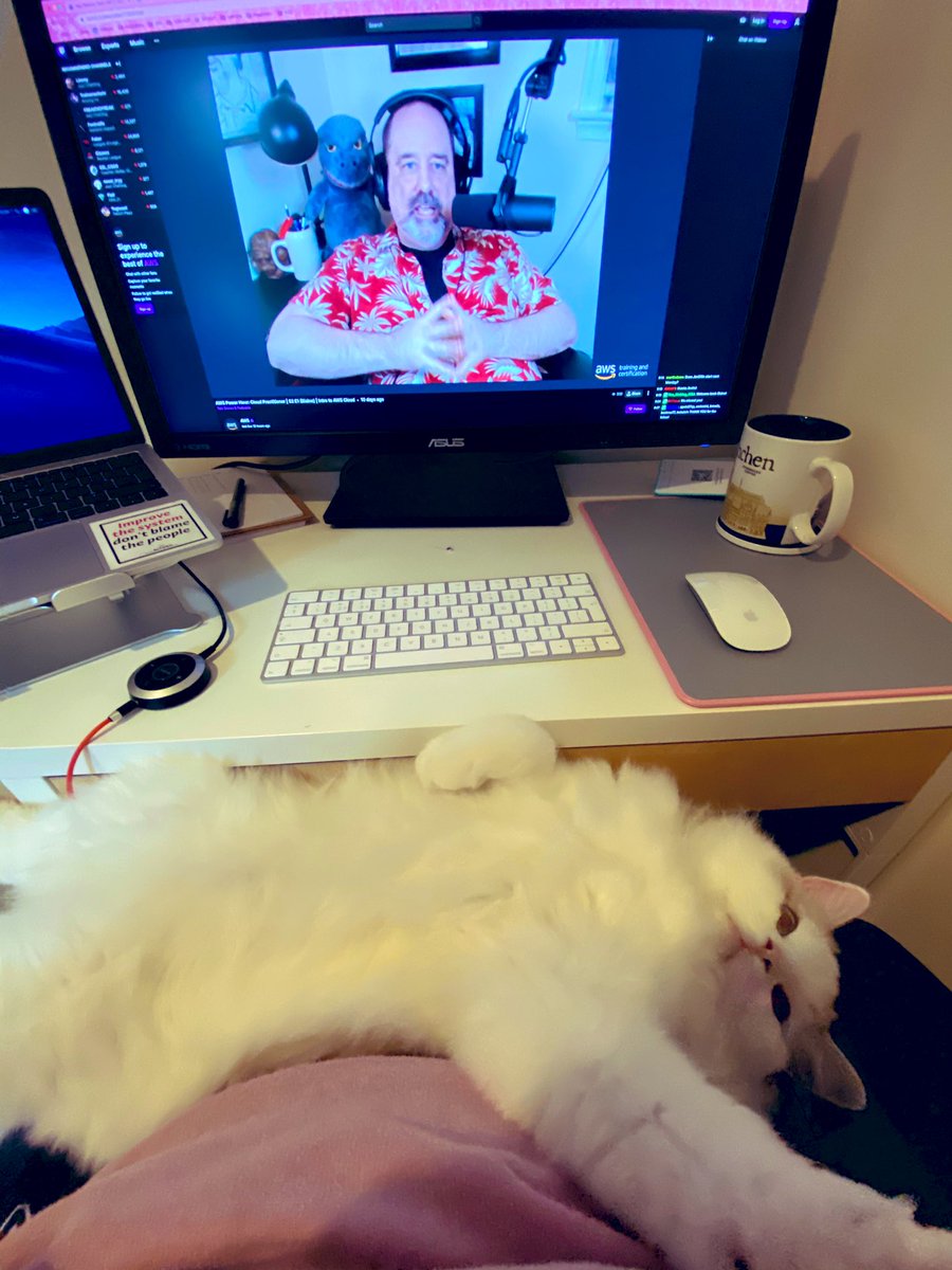 Agile_AJ's tweet image. Bertie is enjoying watching @BlaineSundrud - he just wishes the kitty would appear more #DevOpsCats