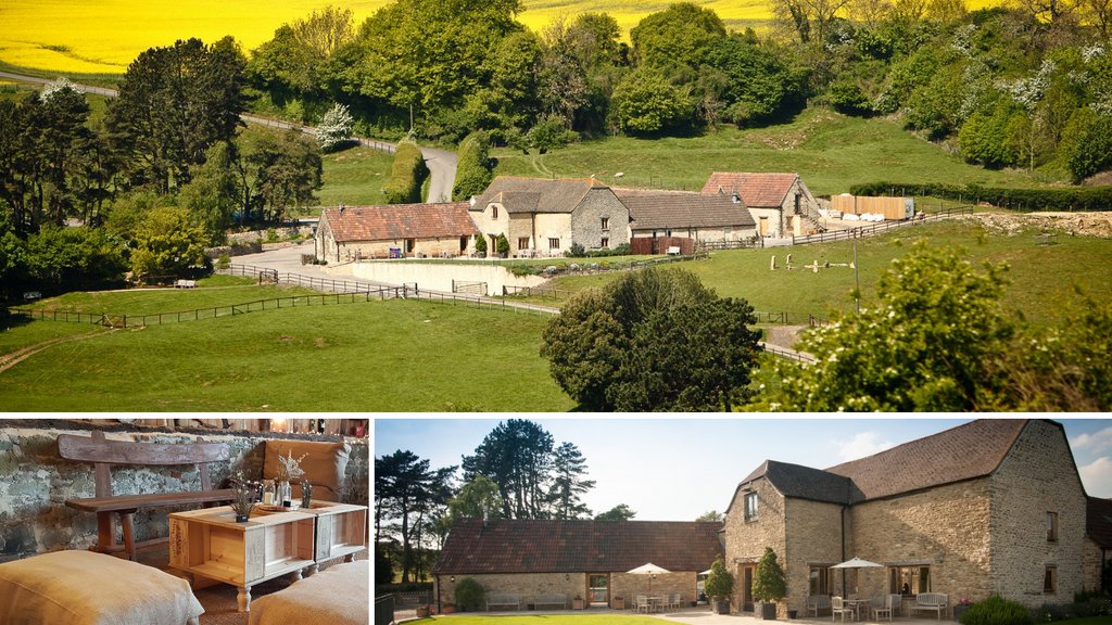 There’s no doubt at all, the venue you choose for your celebration, wedding or business event will have a significant impact on the day itself. If you still haven’t found that perfect venue, why not consider a beautiful barn,  start your search  here 👉 buff.ly/37OZbo6