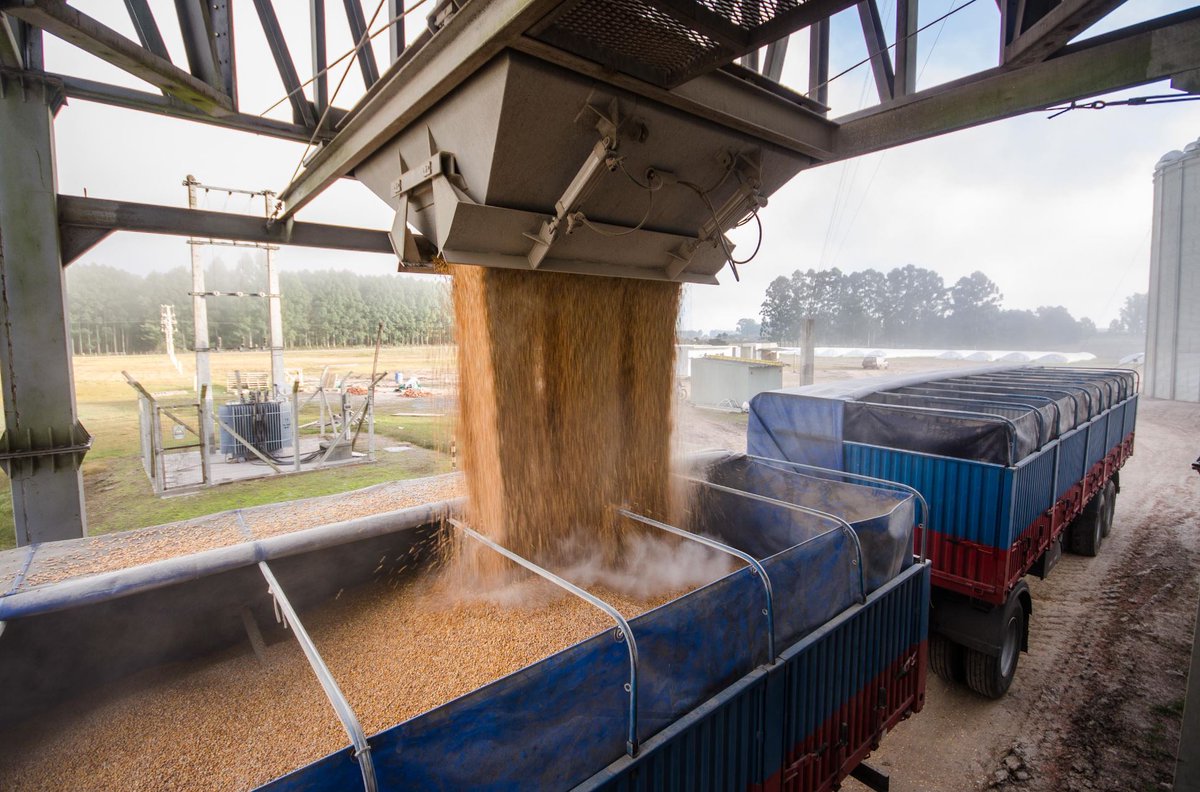 WeAreLDC's tweet photo. Uruguay’s agricultural producers are leaders in adopting new and sustainable farming technologies and practices. Find out how, and learn more about our almost 20-year presence in the country. https://t.co/Bu46E8qQf1 https://t.co/3kjasYDKtV