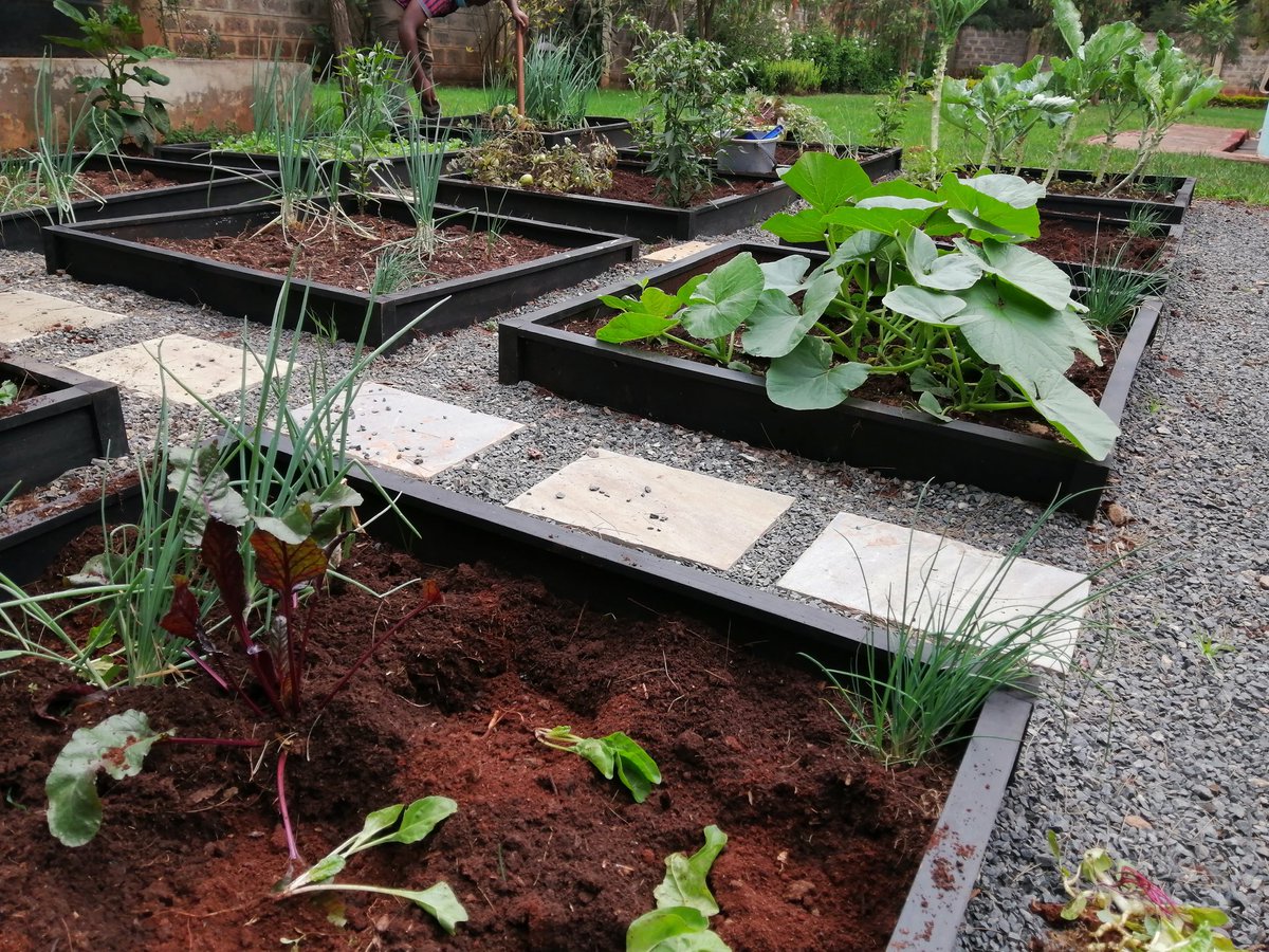 kitchengardenke's tweet photo. Helping people in the urban set up create beautiful, organic kitchen gardens to promote healthy eating. #kitchengarden #gardening #urbangardening #Nairobi https://t.co/6WidFlBhvm