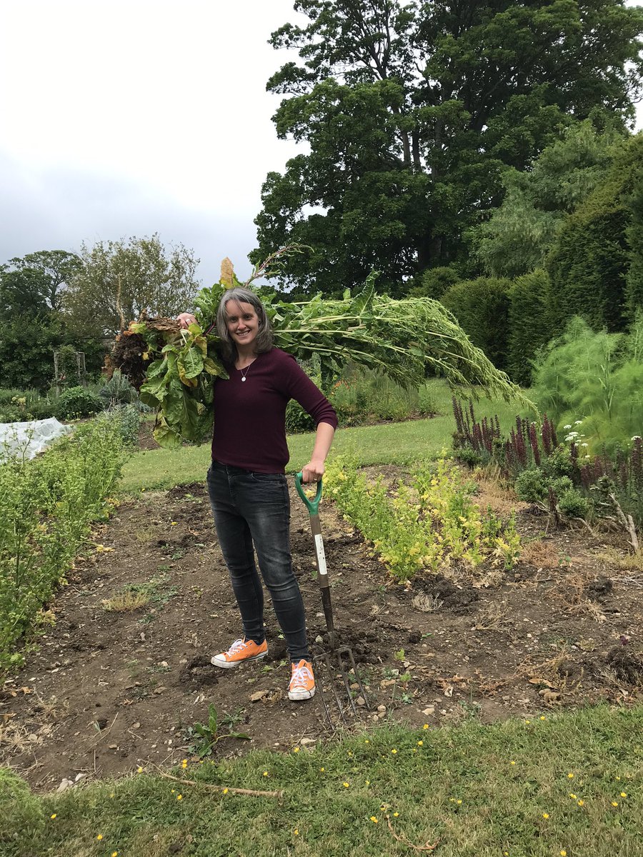 I’d like to just reflect on the things we shared. The garden was the main thing - key reps who had never gardened before took on 4 acres. We did surprisingly well, and put so much work in.