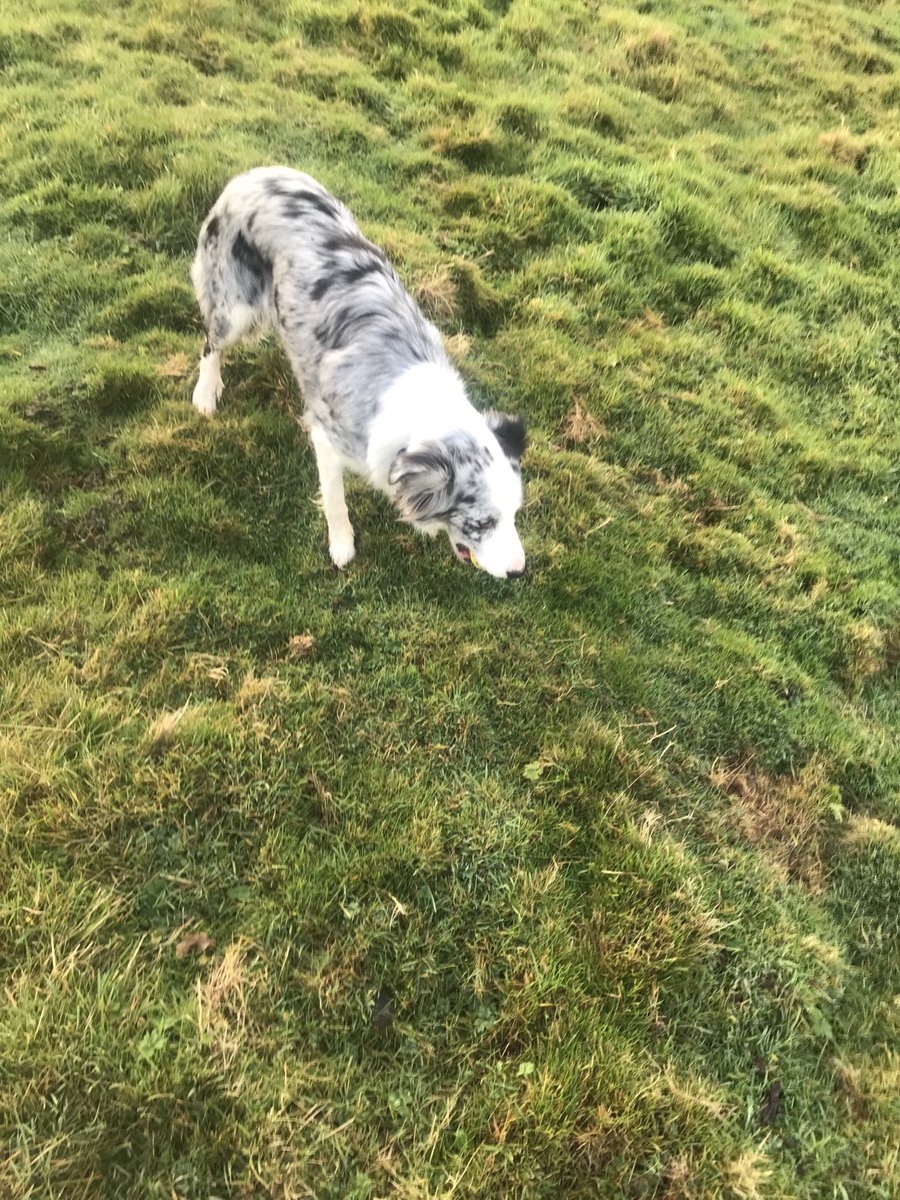 Linval15's tweet image. @Linval15 day 1/7.
I’ve been nominated by @tracytsikai1 to post a picture a day for 7days to illustrate my daily life( no people)
You have to copy these words, add photo and repeat the challenge.                                                      Today I nominate ⁦@mobear_c