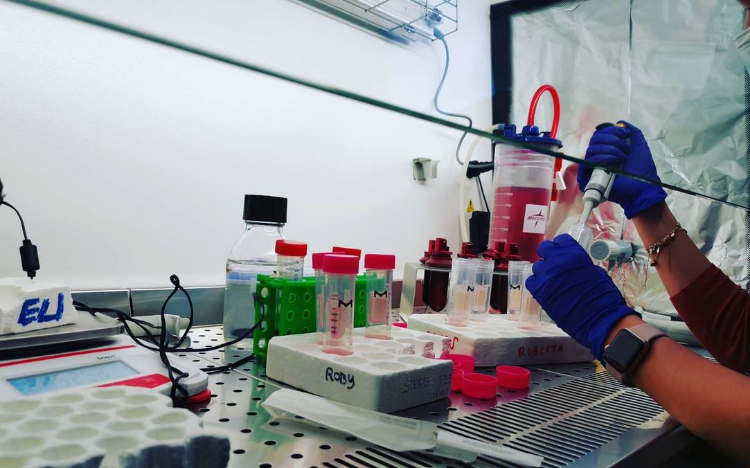 starstem2020's tweet photo. 🌟 We recently interviewed Dr Marta Nardini of @UniGenova to learn about cells and extracellular vesicles for therapeutic applications and researcher life during Covid-19

Read more 👉 https://t.co/f31f5Ww8q7 https://t.co/JxAXV2ETlx