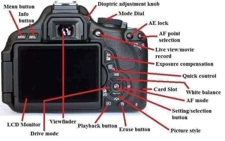 DausMokhtar's tweet photo. Nahhh siapa yg nak belajar guna DSLR.. nanti dah pro, boleh tolong ambilkan gambar kawin aku.. https://t.co/92VtNkkaoL