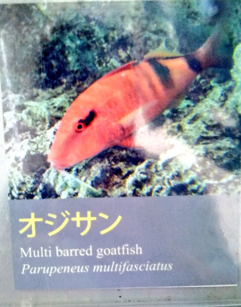 変わった名前 変わった名前