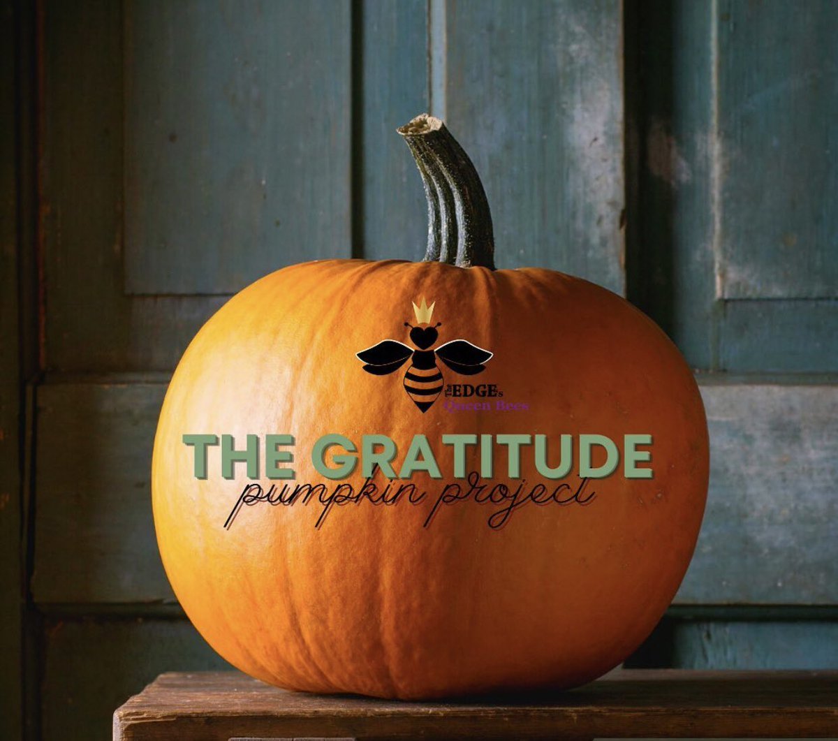 BeesWorldwide's tweet photo. It’s time to 🐝 creative! The Queen Bees Gratitude Pumpkin Project 🧡 What are You grateful for? #gratitude #theedgehelps #queenbeesworldwide #pumpkin #WednesdayThoughts #WednesdayMotivation @TheEDGEHelps https://t.co/wLNxdda6Jb