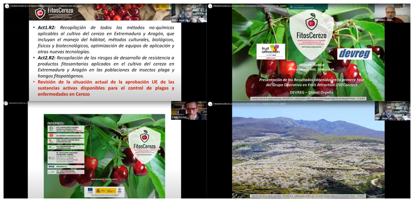 CTAEX_CIT's tweet photo. Hoy se han presentado los Resultados obtenidos en la Primera Fase del #GrupoOperativo @fitoscerezo 🍒en @FruitAttraction LiveConnect. Os dejamos algunas imágenes de la jornada virtual
@FEPEX_EU @ACVJSocial @aepla_asoc @aeamde @INIA_es #devreg @redrunacional @EIPAGRI_SP https://t.co/TX15WzGjCG