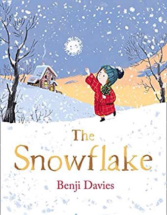 “The Snowflake” by  @Benji_Davies , published by  @HarperCollinsCh  #SouthWestSuggests  #ckg22pick