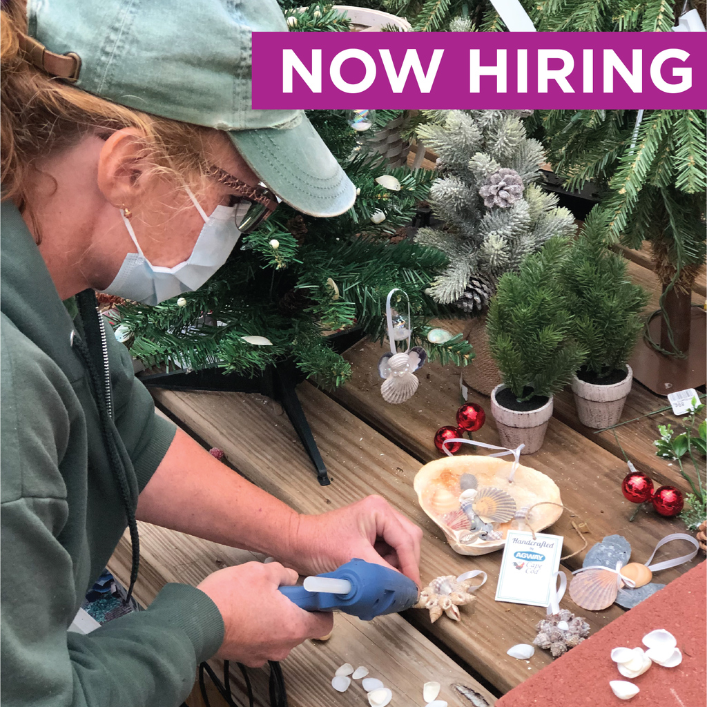 CapeCodAgway's tweet photo. Love to craft? We’re looking for goal oriented, top-notch crafters to join our holiday production team. If you thrive in a fast-paced, high-demand environment and enjoy spreading holiday cheer, contact us now! https://t.co/FKhSWz9z2g