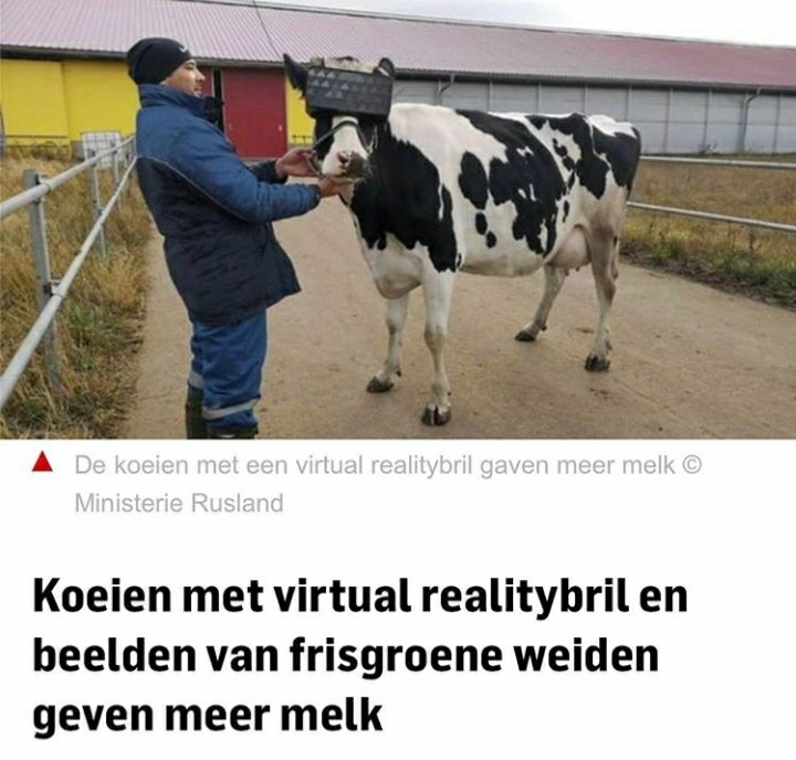 Ma hoezo vinden jullie dit normaal??