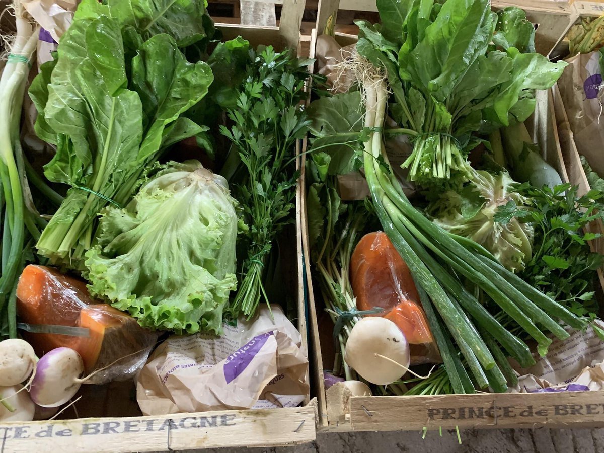 OTCollesurLoup's tweet photo. [CIRCUIT COURT]
Commandez chaque semaine votre panier de légumes issu de la production locale 100% bio des Légumes de St Paul et venez le récupérer à l’office de tourisme le mercredi.
👉économique
👉écologique
👉qualitatif
https://t.co/9wugjK3d3U
#LaColleSurLoup #CotedAzurFrance https://t.co/4OVzvF9WlZ