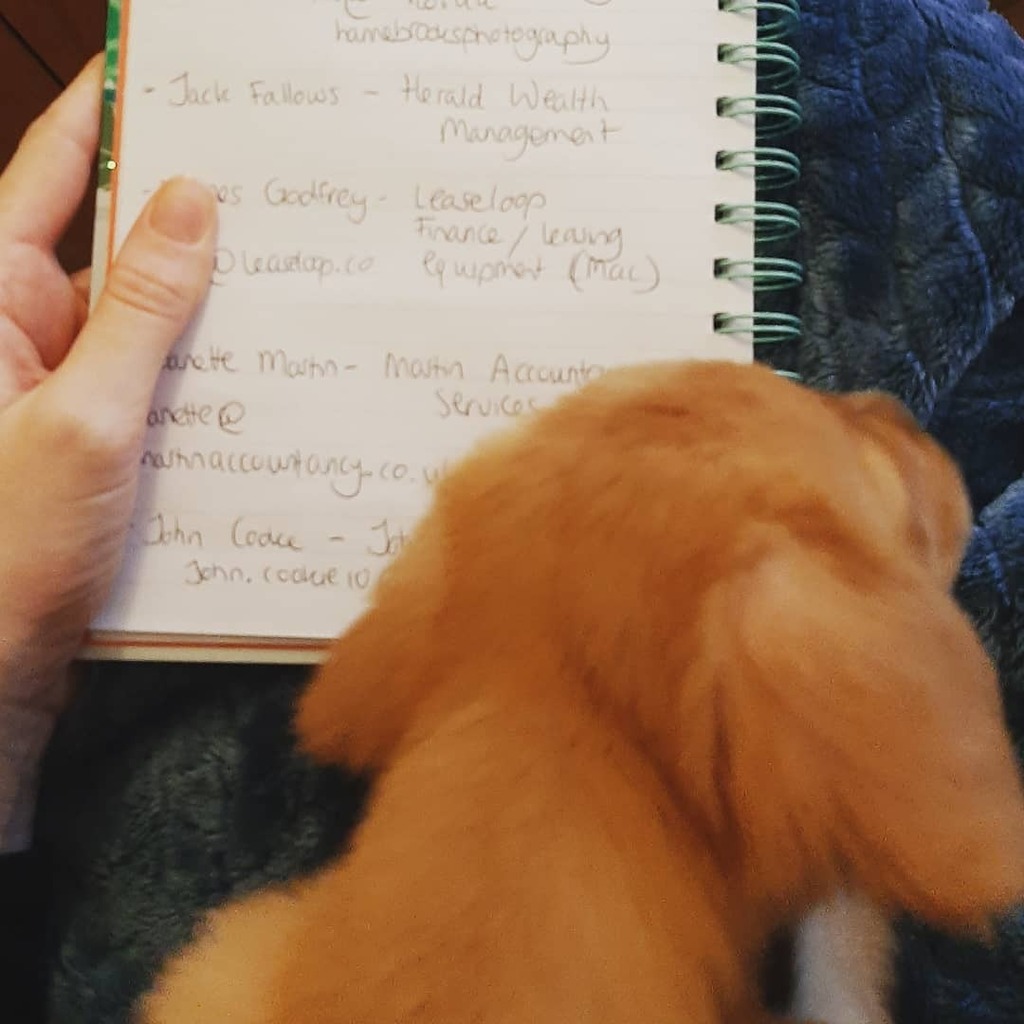 Trying to combine work with puppysitting... a bit tricky sometimes 😰

#puppylife #business #workingfromhome #workingfromhomelife instagr.am/p/CG4wcJXhmPA/