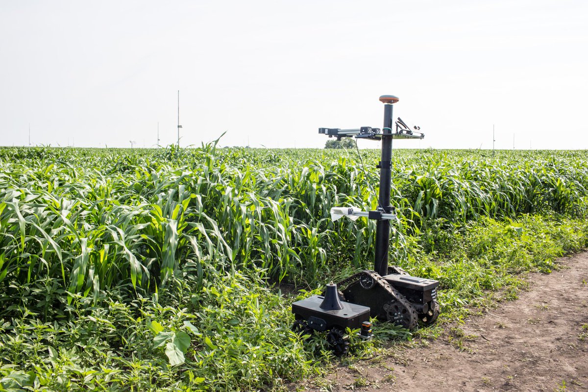 AdaliddaFRA's tweet image. Appel à propositions: Google #AI for #SocialGood Workshop #ProjetsCollaboratifs #ONG + #Universitaires, Apprentissage automatique #ML Intelligence Artificielle #IA #Agriculture #Préservation #SantéPublique fr.adalidda.com/posts/AHGTzWHs…