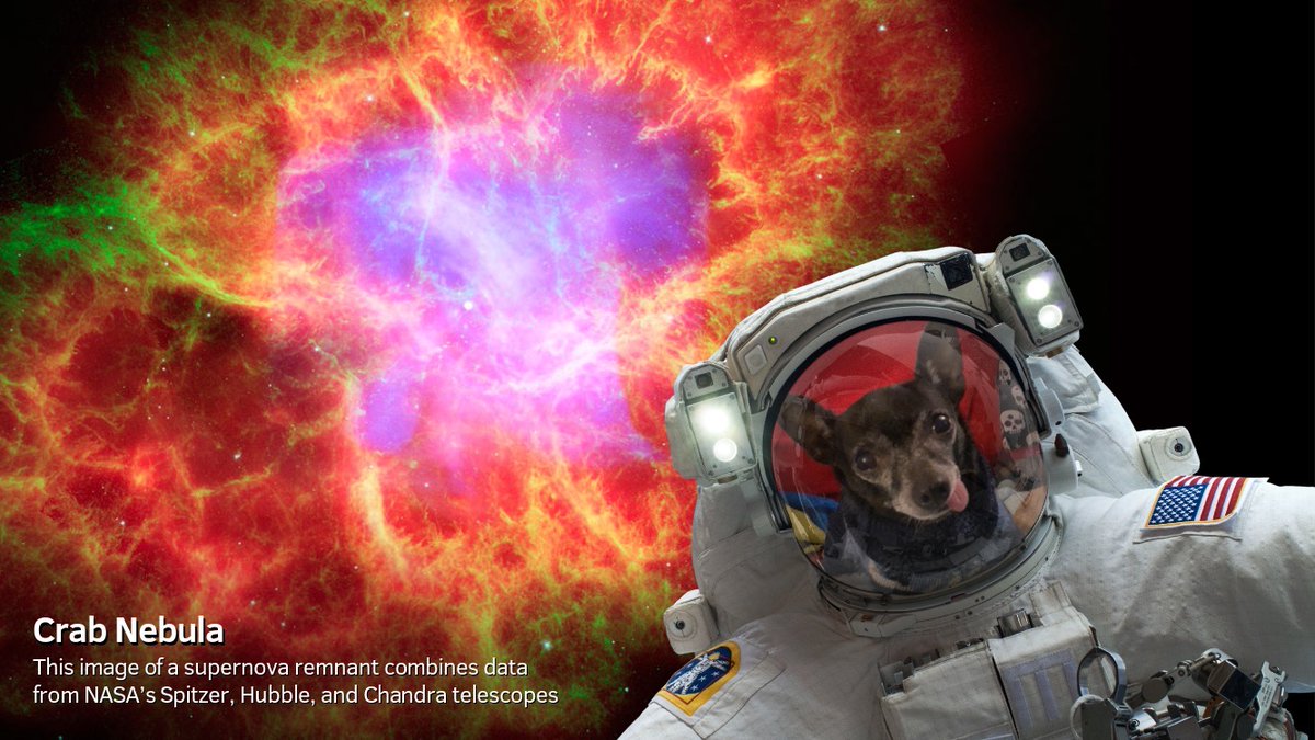 torreytrust's tweet photo. At the #SITEInteractive conference, I discovered the NASA selfies and Spacecraft 3D apps by JPL. Try it out with your kids/students and then get them to write captions for their images, craft their own stories, write a space haiku, or explore on their own! #edtech #remotelearning https://t.co/ppARxUldAo