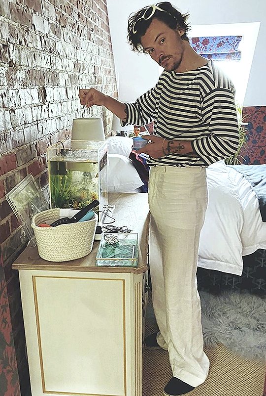 salvadoranrry's tweet image. i believe in harry styles supremacy