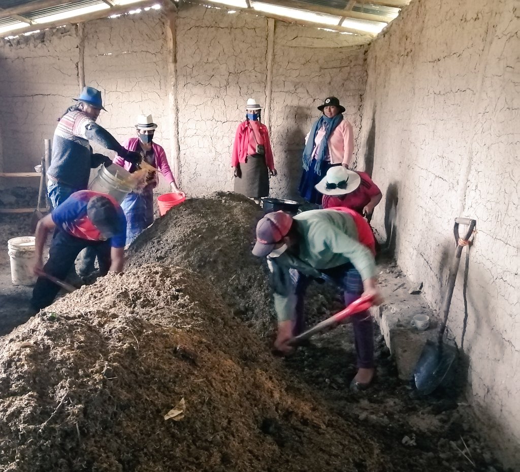 📸 Minka agroecológica en  la comunidad de Monjas de la parroquia Quingeo.

Con la Asociación de productoras agroecológicas Buen Vivir elaboramos el abono orgánico para recuperar la fertilidad de los suelos, para obtener alimentos más sanos y agroecológicos.

#SomosAgroecologia