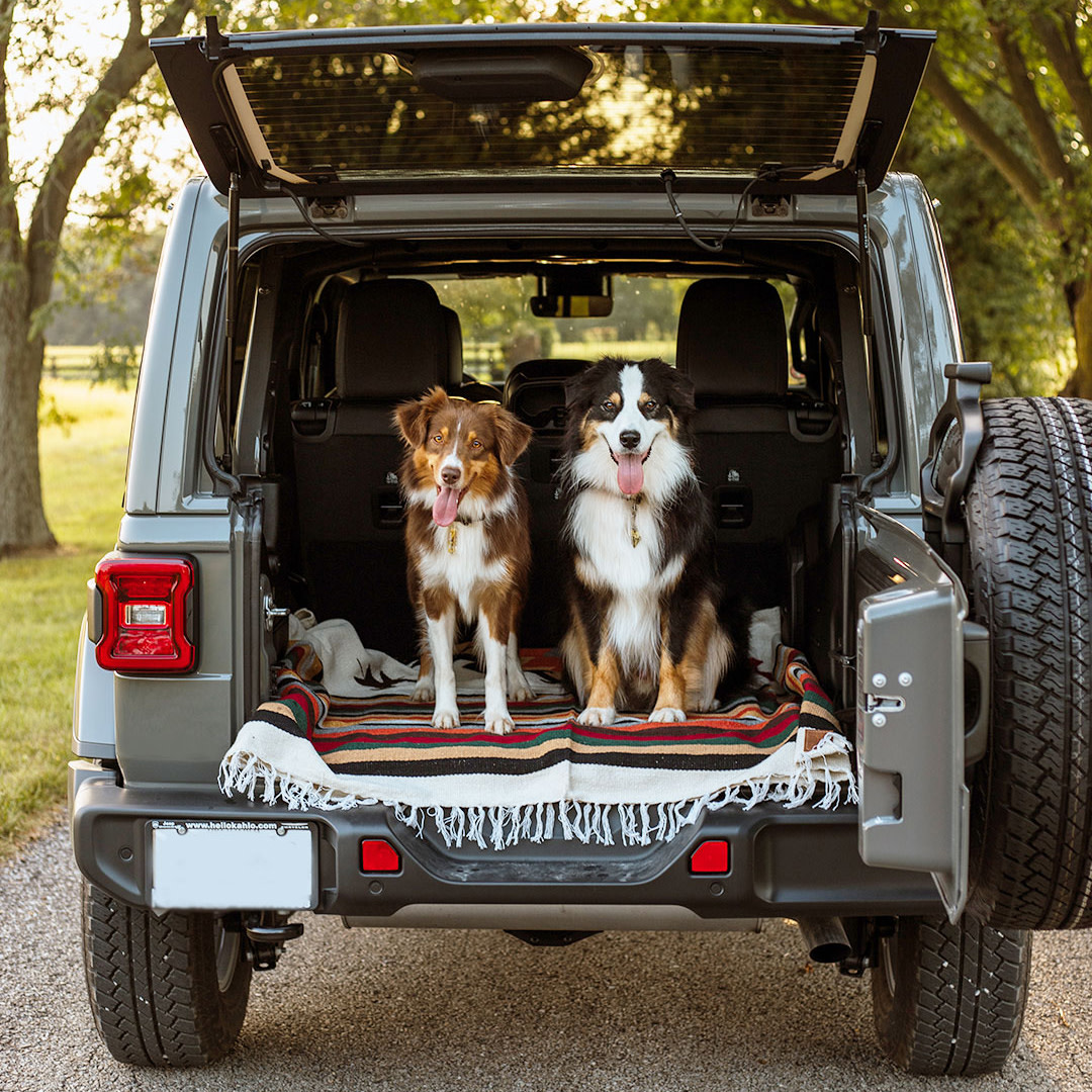 Jeep's tweet photo. Best friends make everything better. 

📸: Timi B. https://t.co/7hL2sUYXLt
