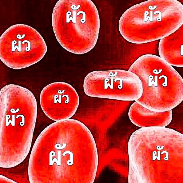 ᚐ𓊪 ˙  x̸  ⸝ ( 𝕮𝖍𝖆𝖗 - 𝖑𝖎𝖊 ) 𓈒 ˙ ᚕ𓏸 ลฟตท ᚇ ᚛