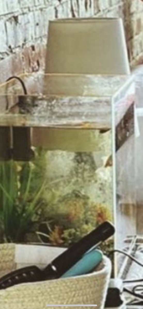 capricorn-fish tank