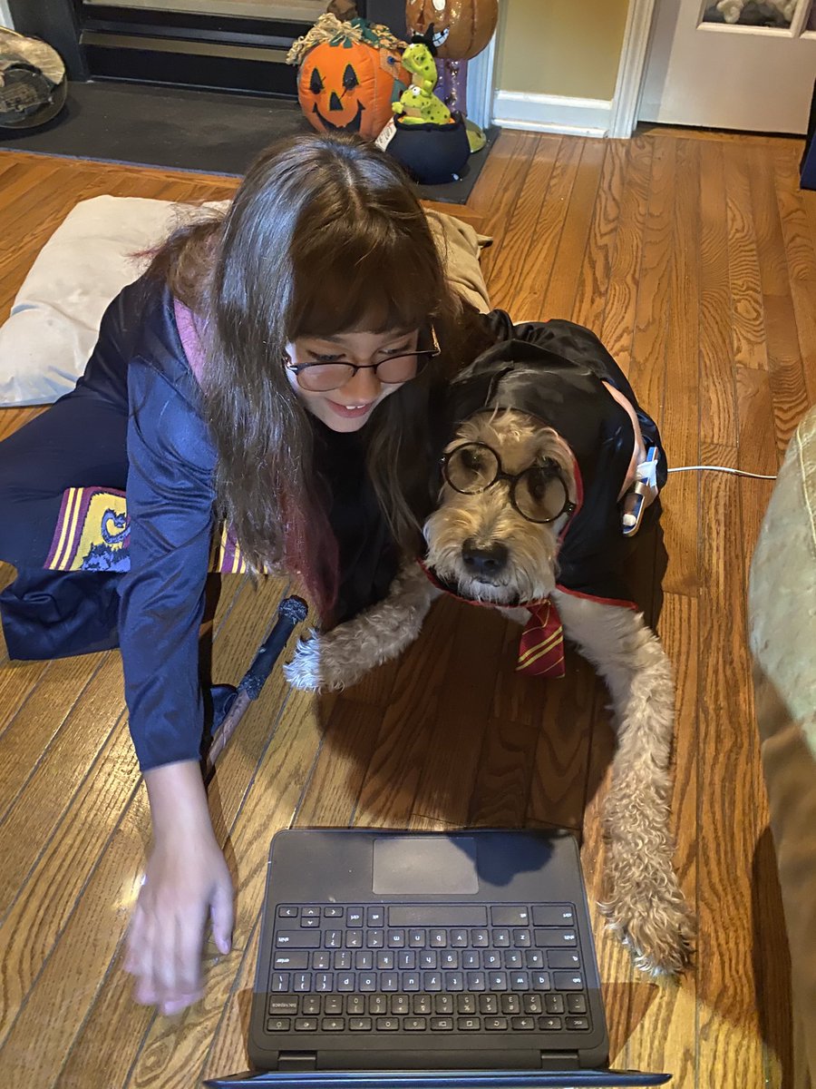steph731l's tweet photo. Hermoine and Harry Potter make zoom appearance in Mrs. Lackey and Ms. Kelly Class #catenastrong #fts4kids #jjcpto #schoolspirit 🎃😷🎃🐶 https://t.co/2X4IvvUej5