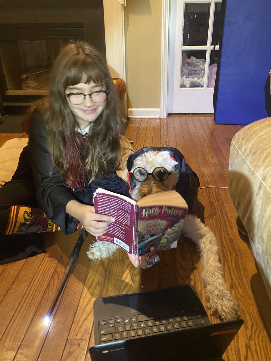 steph731l's tweet photo. Hermoine and Harry Potter make zoom appearance in Mrs. Lackey and Ms. Kelly Class #catenastrong #fts4kids #jjcpto #schoolspirit 🎃😷🎃🐶 https://t.co/2X4IvvUej5