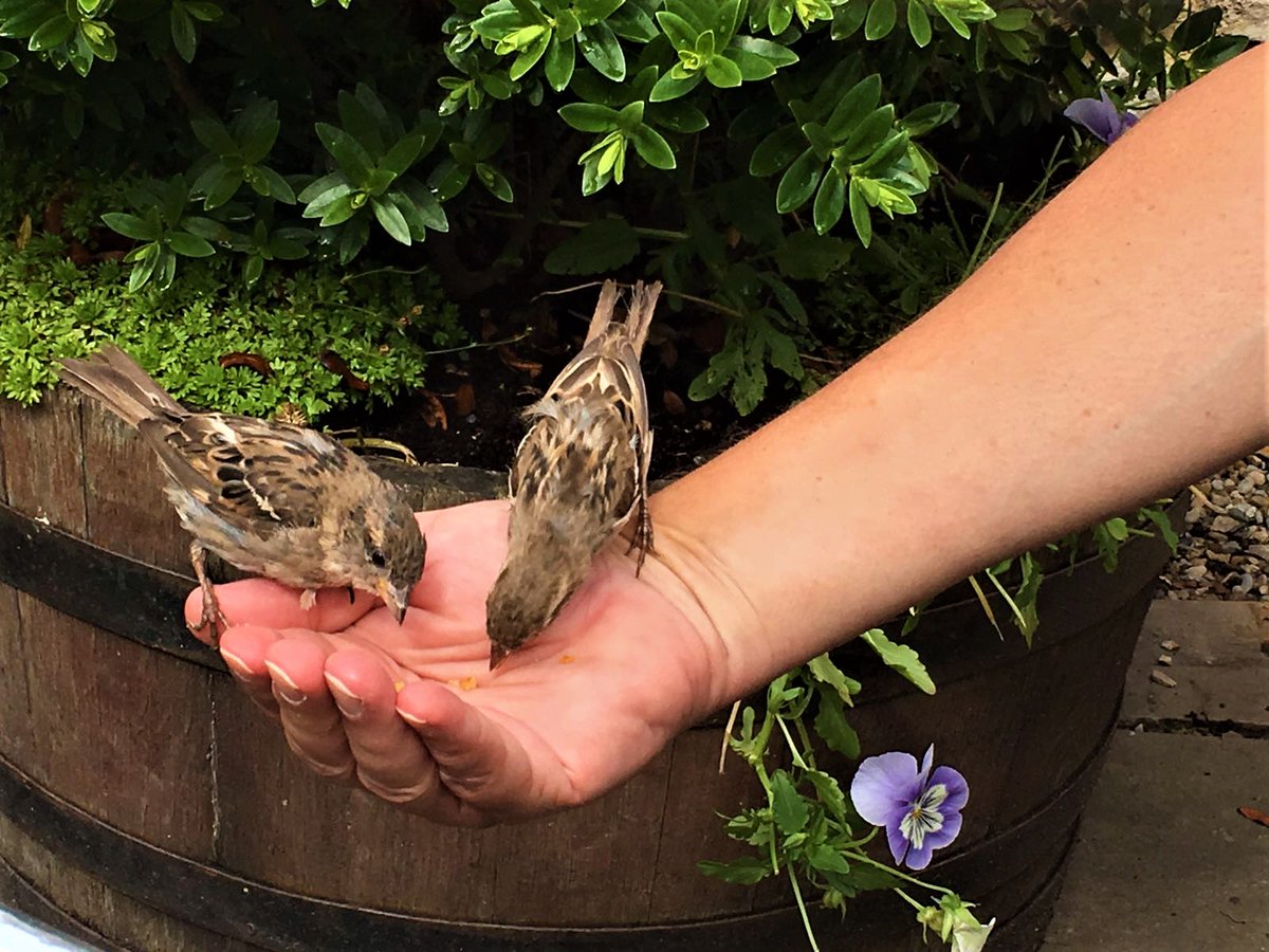 JulesPretty1's tweet photo. Here’s one: think of the good times in your life
Were there people involved?
Was nature present?
More often it is clear:
Togetherness & belonging are important, as are connections to nature
These little things increase well-being & save carbon
#OneTonneOnly https://t.co/baQiwo9yYr