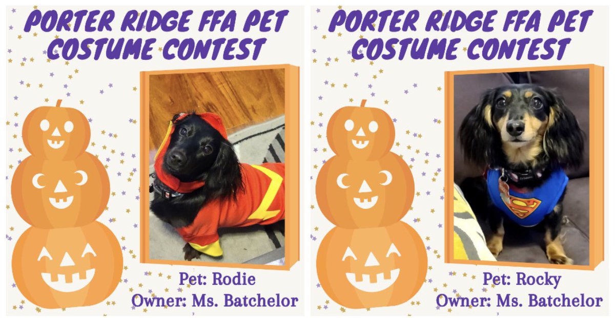 PorterRidgeFFA's tweet photo. Look at some of our teacher’s fur babies in their Halloween costumes!! 🎃👻🧡 Check back tomorrow for some more cute photos!! @PorterRidgeHSNC @PRHSCareer https://t.co/8PYgg5UFCq