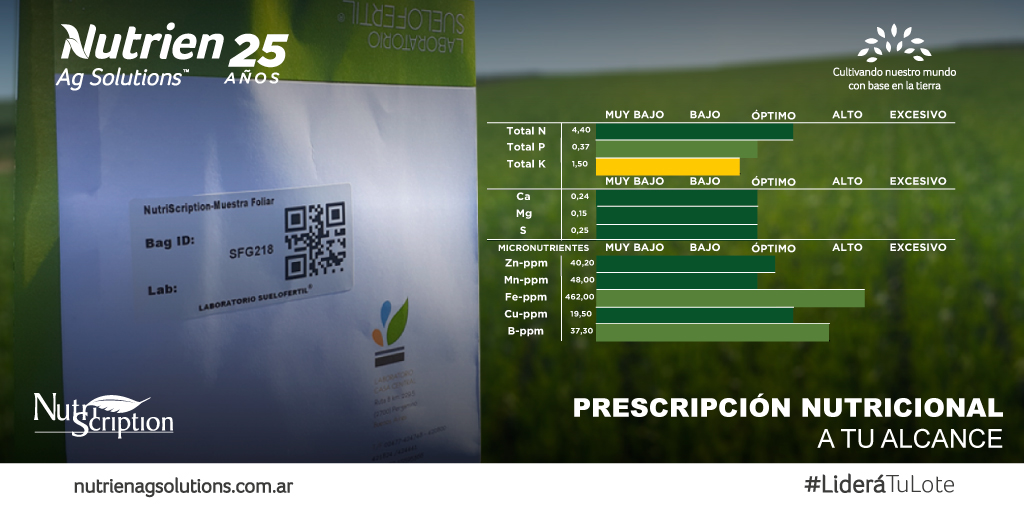 Con nuestra plataforma #Nutriscription te ofrecemos datos del análisis de tejidos con recomendaciones de fertilizantes correctas y específicas para tu campo.
Acercate a tu asesor local y comprobá el poder de esta herramienta logrando resultados más eficientes.
#NutrienAgSolutions