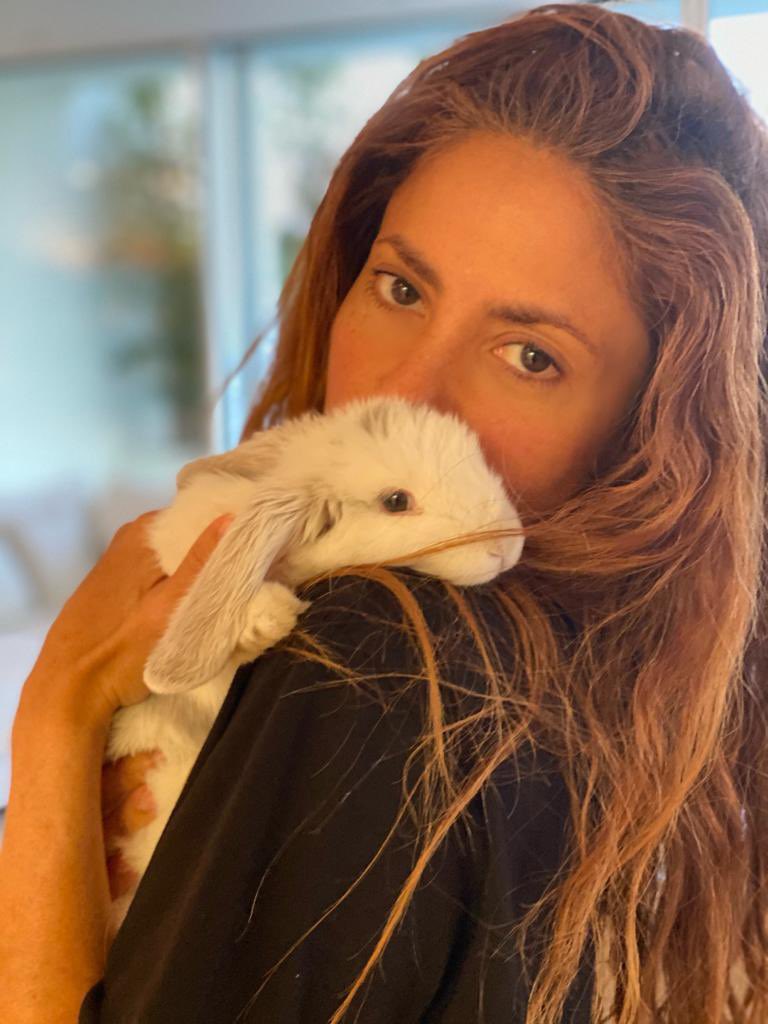 Shakira tweet media