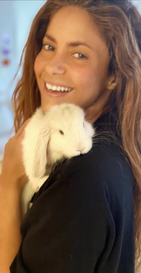 Shakira tweet media