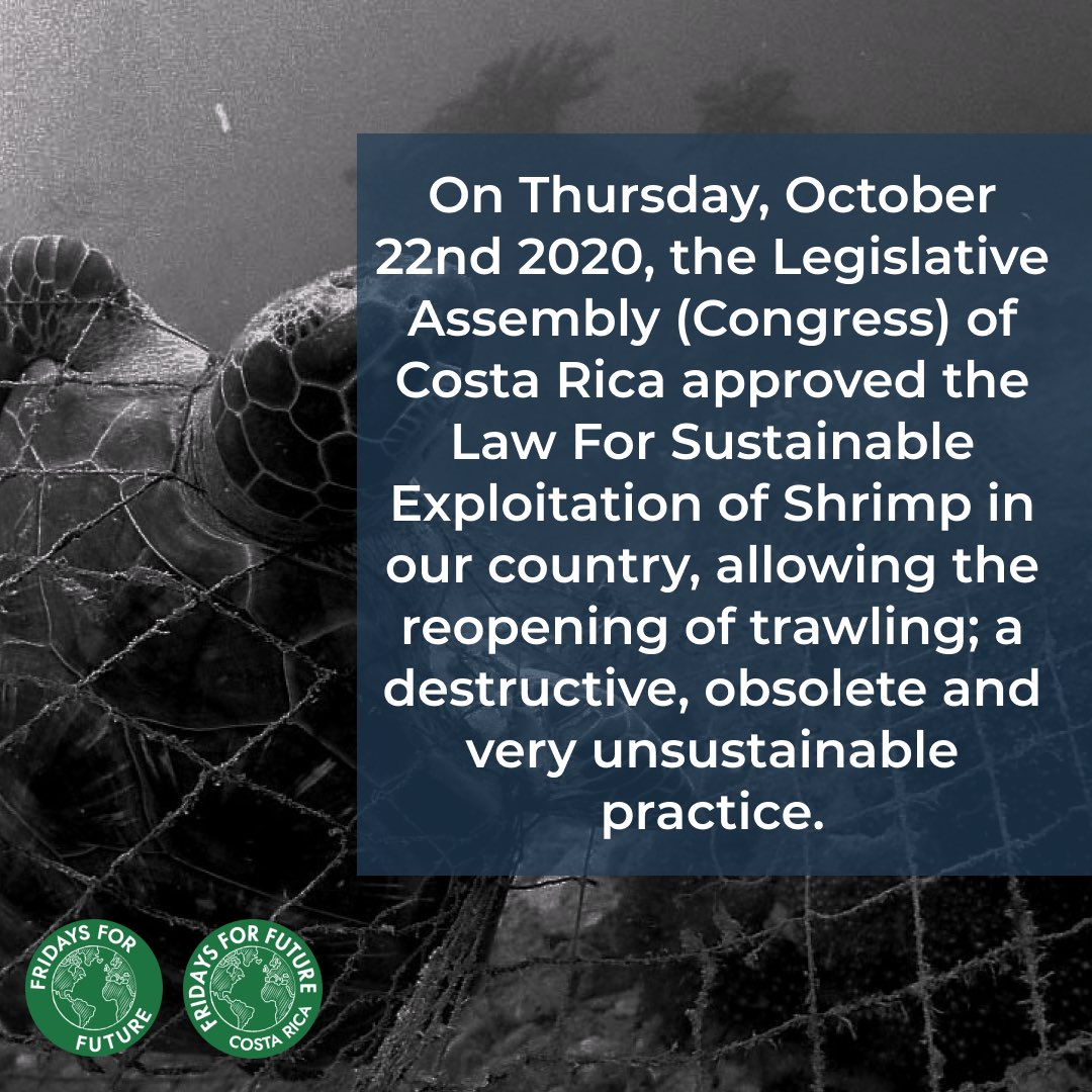 fffcostarica's tweet photo. Trawling will never be sustainable‼️ @CarlosAlvQ has 10 working days to withdraw the law and be consistent with his commitments for environmental democracy. The damage will never be justified. #VeteLaLey #CarlosWithdrawTrawling @Fridays4future @GretaThunberg https://t.co/zjs7PKquSd