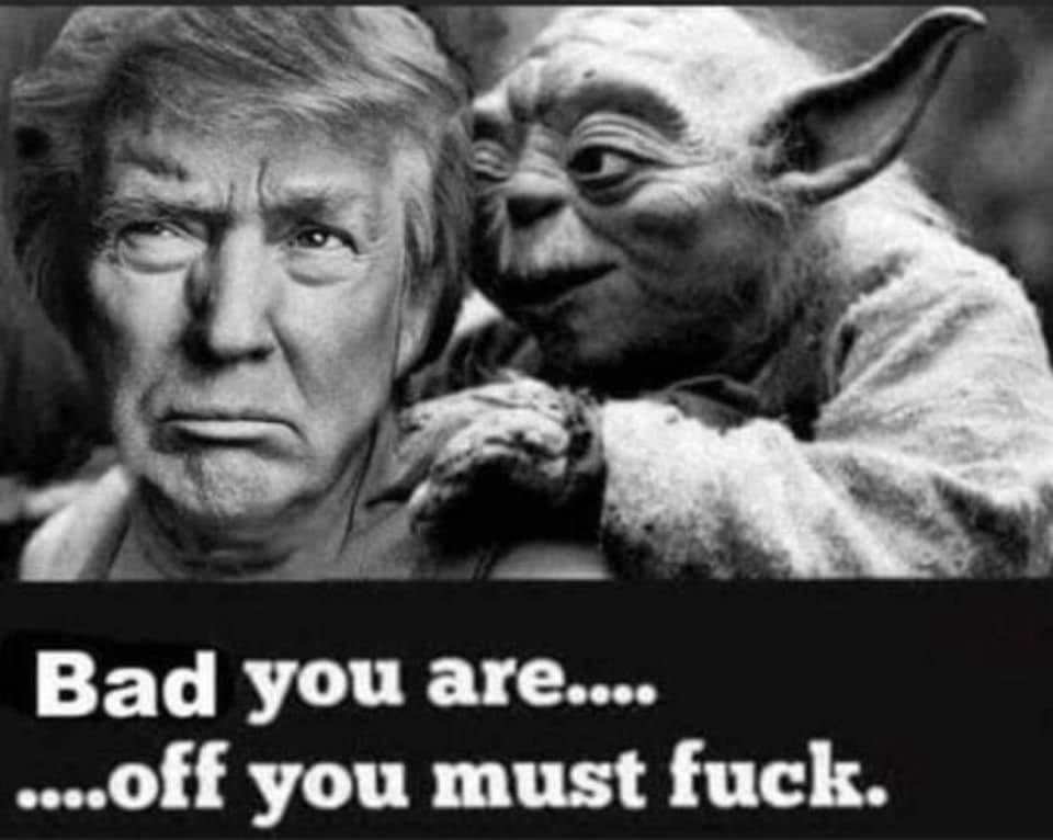 Citizen Seen tweet media