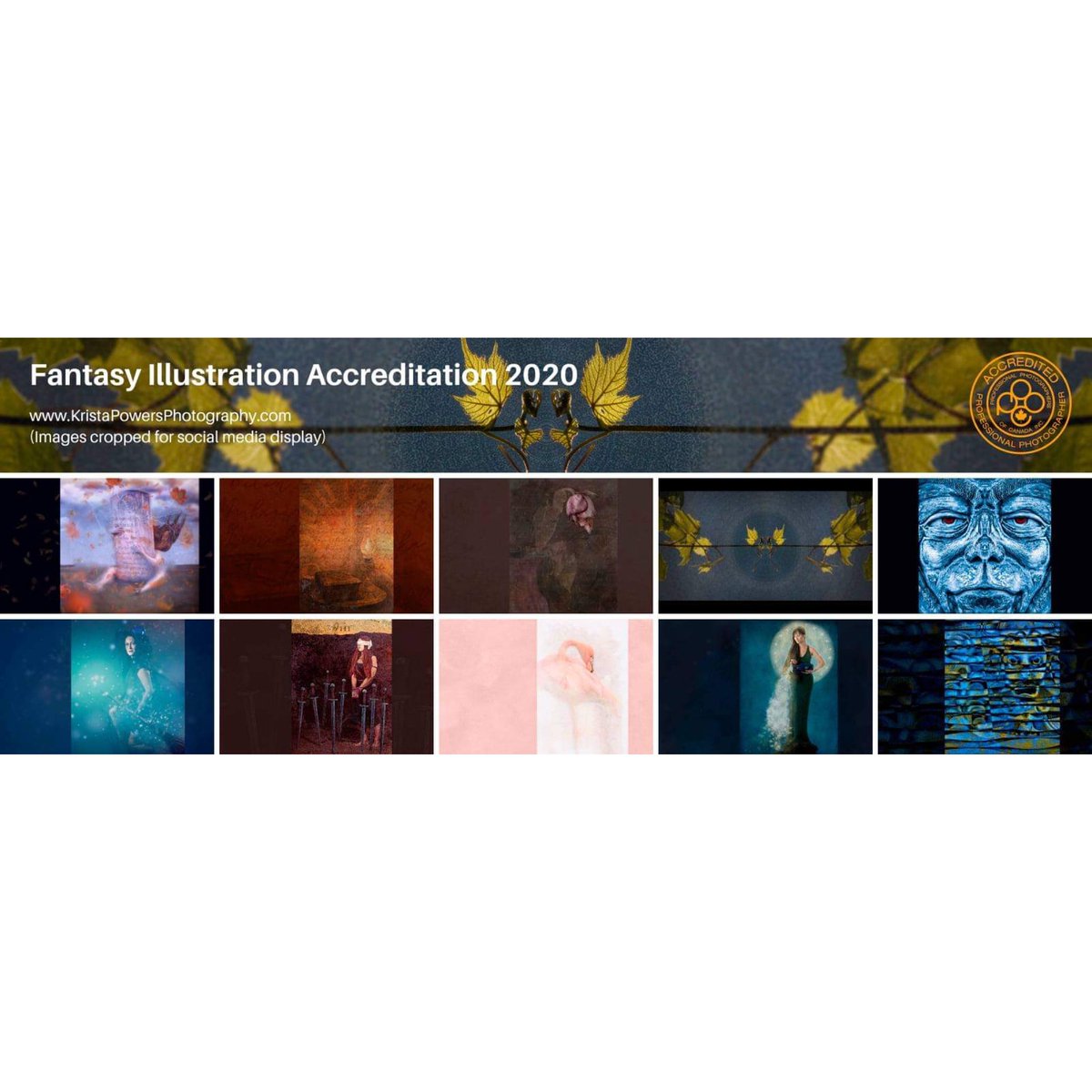 KristaKlear's tweet photo. PPOC National Photographic Accreditation #5 Fantasy Illustration https://t.co/8943cShUEK