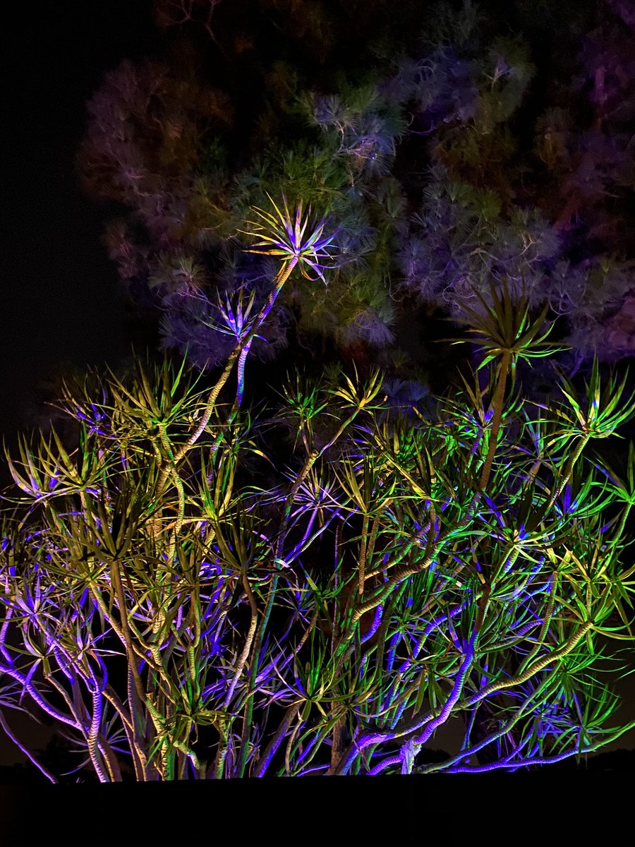 Spooky vibes in the front yard or 80s new wave video.