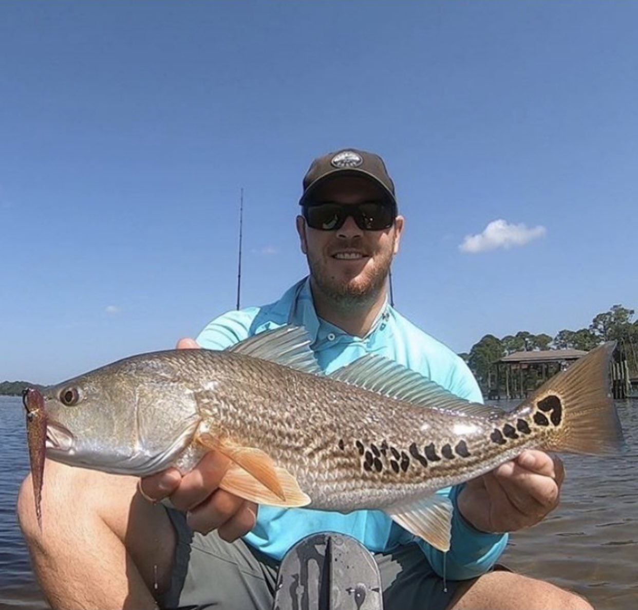 DOA Lures USA on X: Brett with a beautiful multi multi spot redfish. DOA  C.A.L. 4” jerk bait #445 Bayou Tiger.  / X