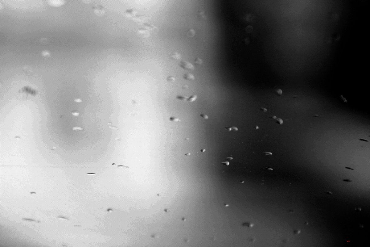 PretextosM's tweet photo. #macro_captures_ #raindropphotography #micdrop #mireflejo #gotas #gotasdelluvia #raindrop #reflejosenelagua #reflejo #macrolens #raindropchallenge #macronature #gotasderocio #lluvias #raindrops💧 #macro_x #gotasdeagua #gotadeagua 💧 #reflejos #drops_perfection #raindropdroptop https://t.co/Rns0iakt8s