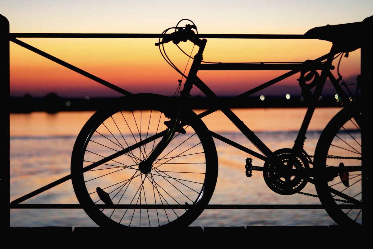 HolidayInnNVan's tweet photo. Experience Stay-cationing &amp; Endless Biking!!
Book from our Staycation package and select from:
4 hour rental of hard-tail mountain bikes for two with insurance
OR
$100 gift card to be used towards mountain biking rentals, guided tours, or lessons
PC: mattia-ascenzo on Unsplash https://t.co/ev0h1FgQKn