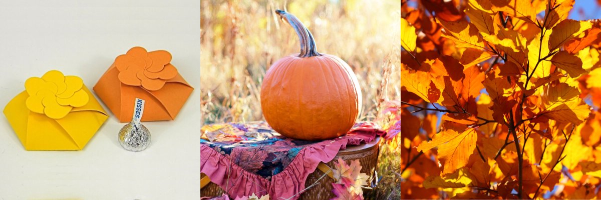 bayleysboxes's tweet image. Vibrant autumn colors 😊

bayleysboxes.com/small-flower-b…

#FallColorPalette #FallLeaves #Pumpkin