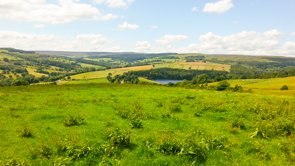 SYWalks's tweet photo. Covid restrictions of Tier 3 in South Yorkshire don't have to stop you from getting out walking.

There are plenty of great walks within the South Yorkshire boundary - and don't forget there's a lovely part of the Peak District that is inside South Yorkshire too. https://t.co/QRhLI8c8qX