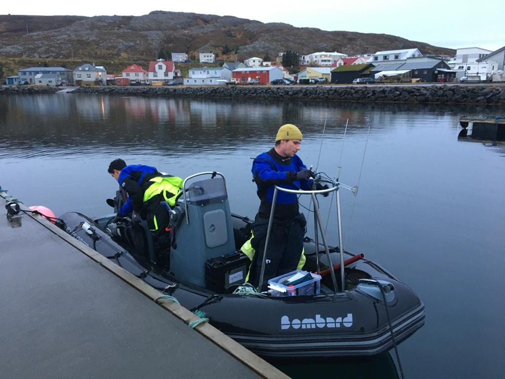We're about two thirds through our fieldwork effort here in northern Iceland. So far we have one camera tag deployment, drone flights on 8 whales and lots of behavioural and photo ID data. Weather hasn't been on our side the last few days but we're optimistic for the final week!