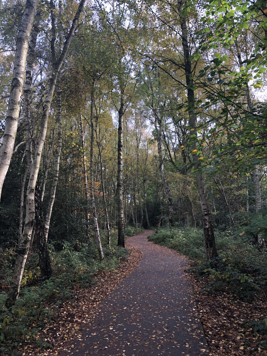 ChristineF1's tweet photo. Autumn adventures with my boy 💙 #makingmemories2020 https://t.co/eHwaYcWa61