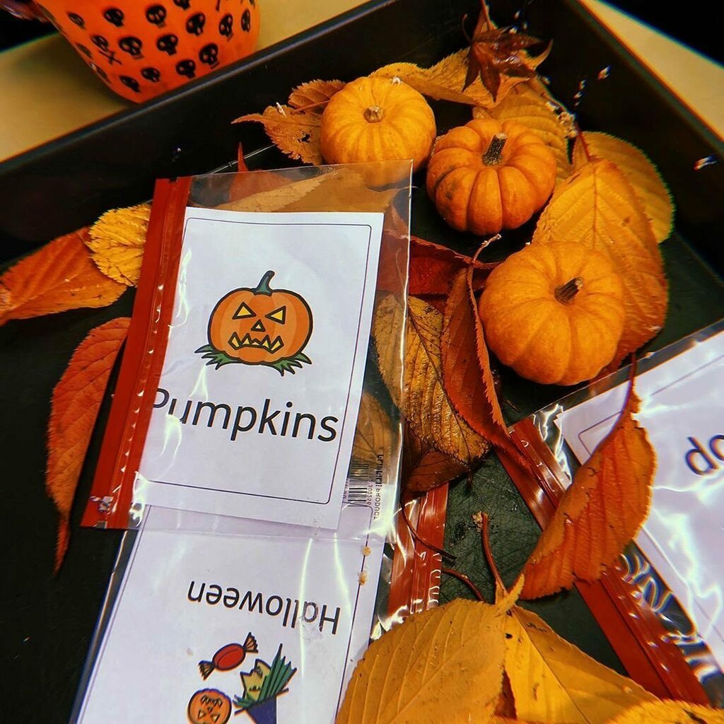 Widgit_Software's tweet photo. 📷: @sen_and_the_outdoors
It’s going to be one of those weeks 🎃
#halloween #sensoryplay #halloweensensoryplay #childledlearning #childledplay #learningthroughplay #widgitsymbols #widgitsoftware #pumpkins #widgitonline #inprint3 #tufftrayideas #tuff… https://t.co/sq5WG2DBu7 https://t.co/P9M2Wa0Wyj