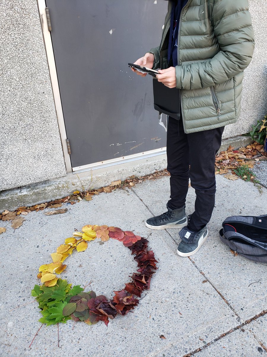 Playing with nature and taking Andy Goldsworthy inspired photos. #TDSBfsl  @TDSB_PVPanthers