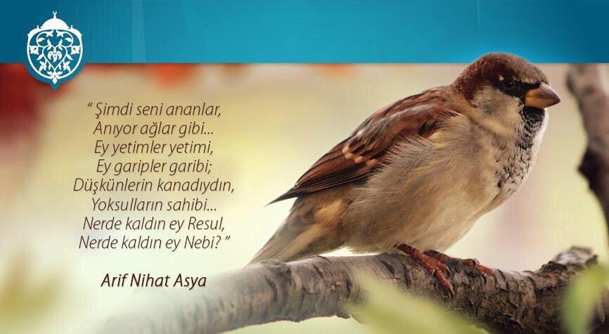 karacam66's tweet photo. Ey, yetimler yetimi, Ey garipler garibi,
Nerde kaldın, ey Rasul? Nerde kaldın, ey Nebi?

#SelamSanaYaResulallah https://t.co/cKuXGyBP4C