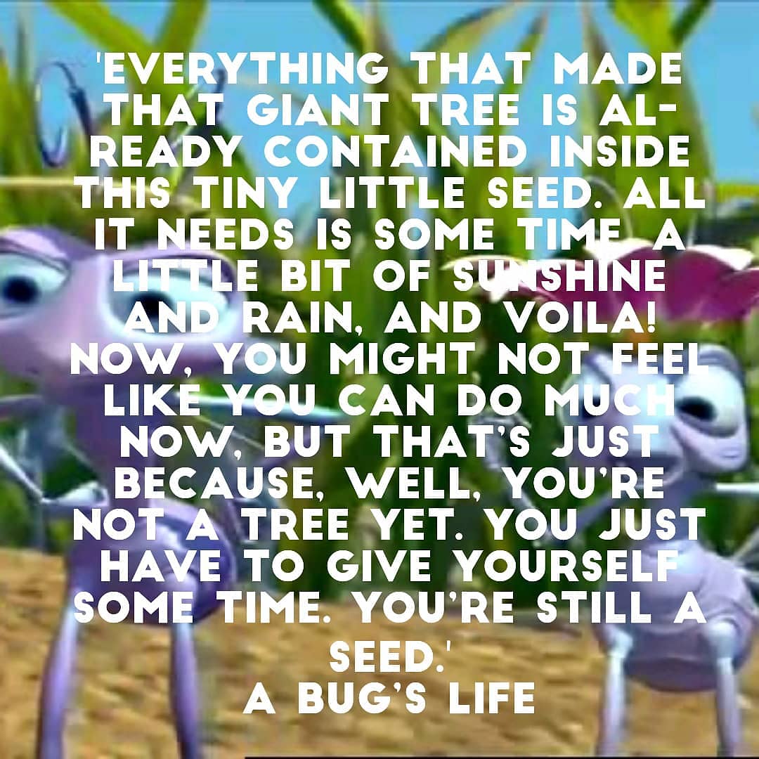 GrabOpOFFICIAL's tweet photo. #Entrepreneur motto: '..u’re not a tree yet. u just have to give urself some time. u’re still a seed.'
#abugslife 

#startups #WorkFromHome #work  #life #inspirational #TechNews #movies #movie #quotes #lifestyle #design #designer #Ad #DigitalMarketing #yoga #app #creativity #Web https://t.co/3YfaNhxnbf