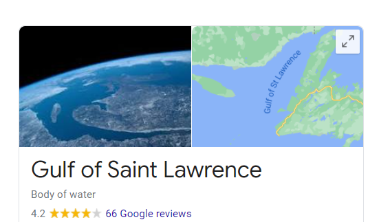 OilTerra's tweet photo. This is kind of random but the seals used to make Terra Nova Omega-3 Seal Oil come from the coast of NL and the Gulf of St. Lawrence. I decided to do a little research and found out that the Gulf of St. Lawrence has a rating and reviews. How can you rate a body of water? :) https://t.co/jQlQ3t6JhZ