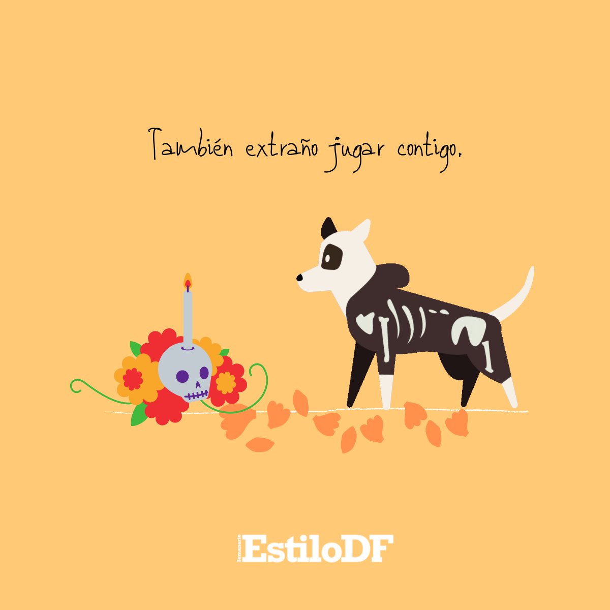 EstiloDF's tweet photo. Algunas almas que extrañamos tenían cuatro patitas 🐶😺💞 #GoodNight ✨ https://t.co/7vZdfcUO2p