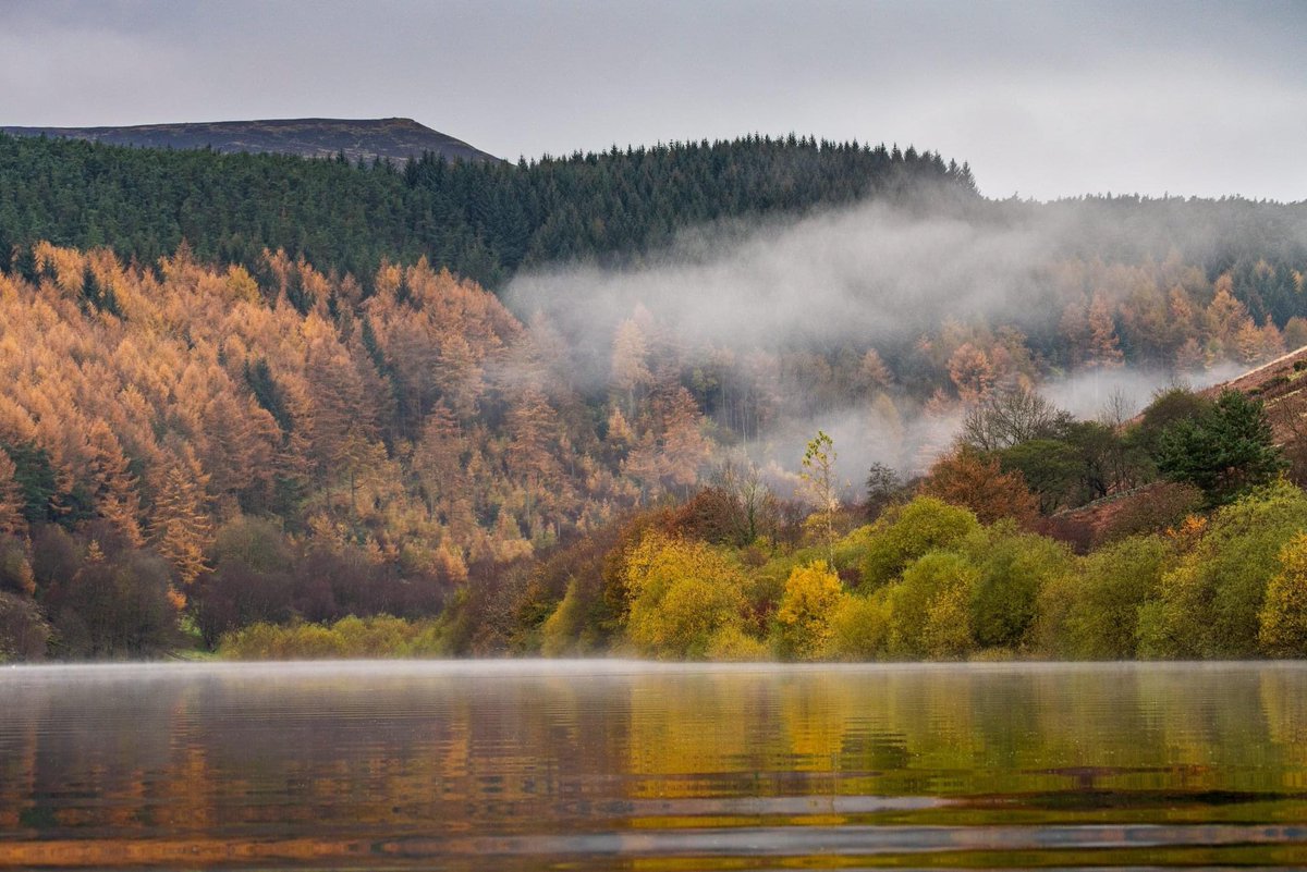 vpdd's tweet photo. Misty magnificence at Ladybower Reservoir 😍🧡 Who would YOU love to enjoy these stunning views with? 🍁👇

👉 Plan your break at https://t.co/y6ATpkWBZU
📸 @psprosonphoto https://t.co/bIvzsOC1Bc